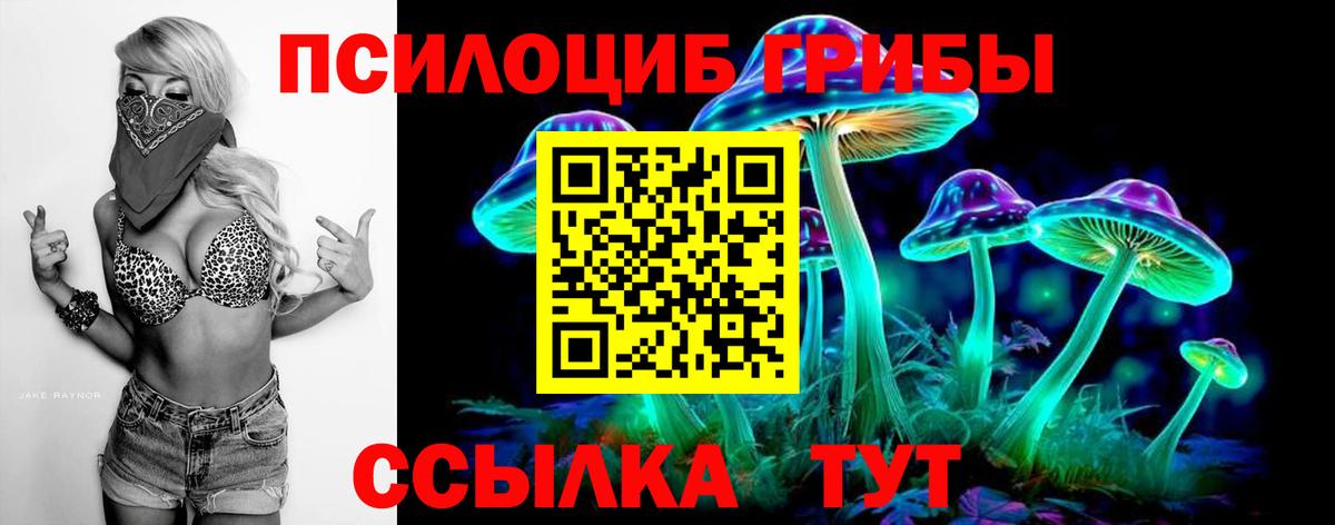 Псилоцибиновые грибы мицелий Чайковский